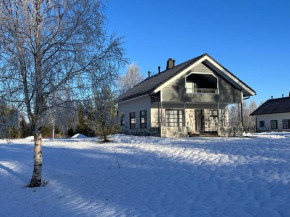 Mökki Levillä palveluiden lähellä